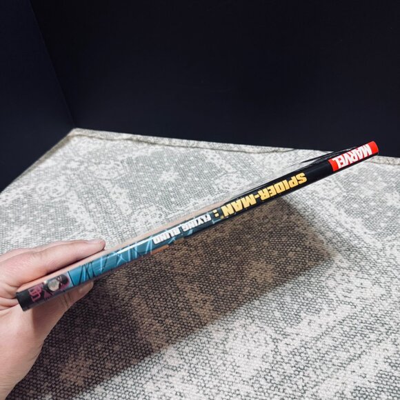 The Amazing Spider-Man- Flying Blind, Graphic Novel - Picture 4 of 5